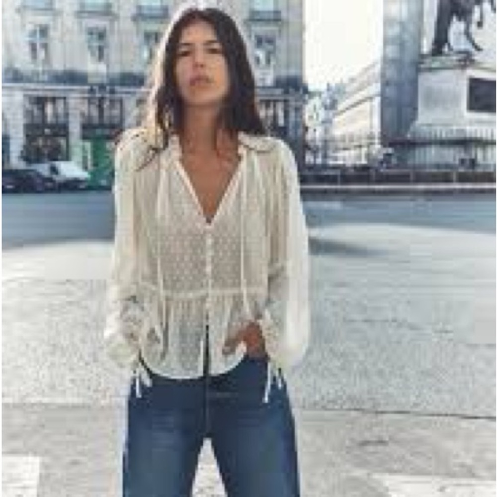 Zara Swiss Dot Sheer Button Down Blouse - Picture 2 of 11